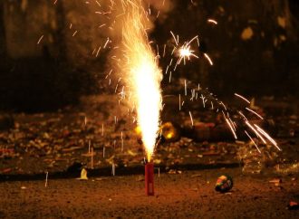 Delhi, Haryana, and Punjab Enforce Firecracker Ban to Combat Pollution Before Diwali