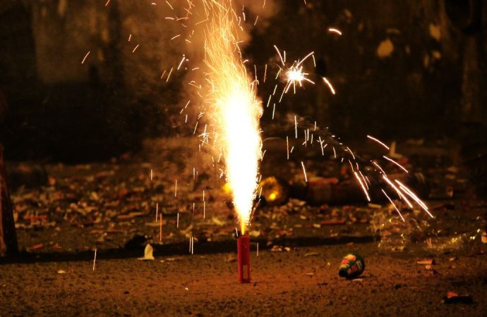 Delhi, Haryana, and Punjab Enforce Firecracker Ban to Combat Pollution Before Diwali