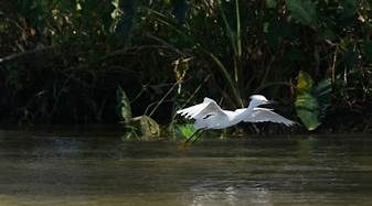 Punjab Bandh Updates: SC Defers Hearing on Jagjit Dallewal’s Medical Treatment Amid Ongoing Hunger Strike