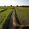 Punjab CM Approves 14-Point Action Plan to Tackle Groundwater Crisis and Boost Canal Water Use