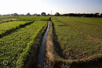 Punjab CM Approves 14-Point Action Plan to Tackle Groundwater Crisis and Boost Canal Water Use